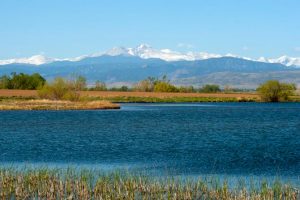 Wildwing mountain view