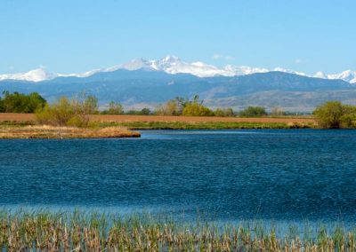 Wildwing mountain view